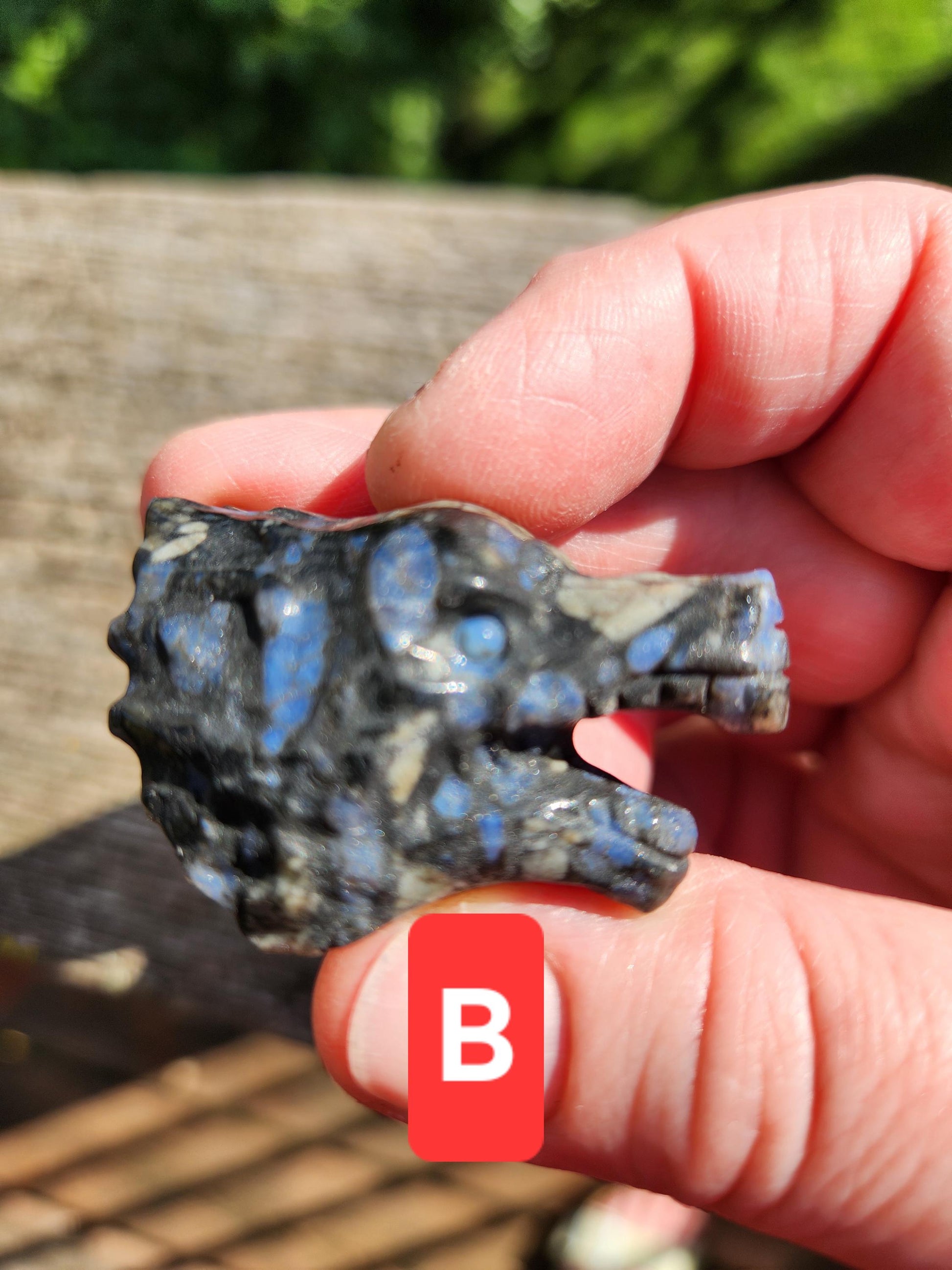 Mini Carved Wolf Head Crystal: Garnet, Que Sera, Obsidian, One