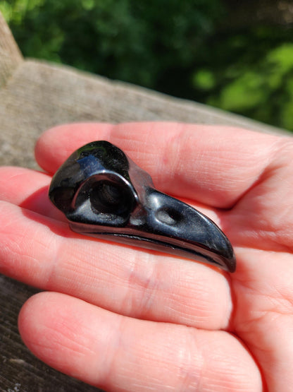 Carved Black Obsidian Raven Skull: Pocket Crystal Carving, One