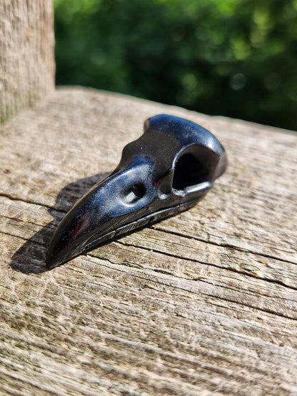 Carved Black Obsidian Raven Skull: Pocket Crystal Carving, One