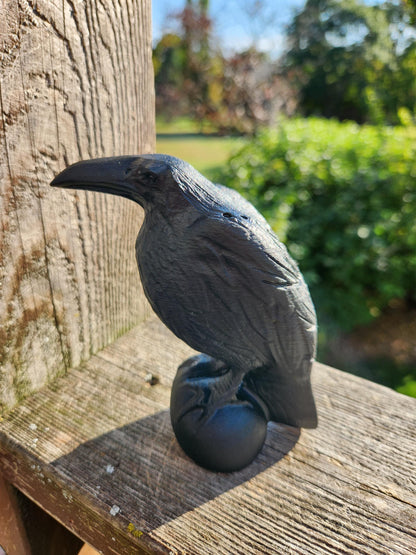 Carved Black Obsidian Raven: Natural Crystal, Crow, Large