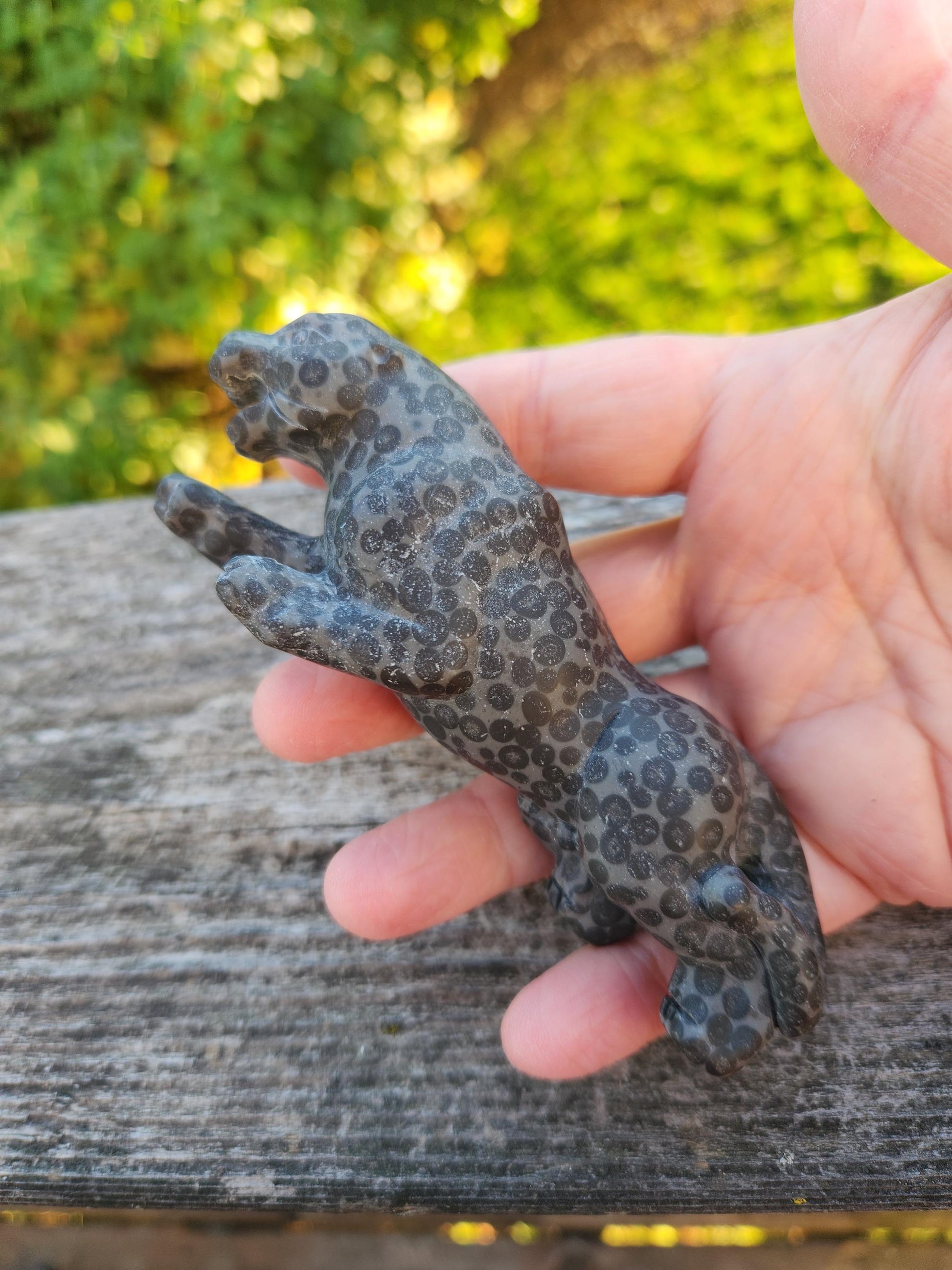 Jaguar Carved Black Spotted Stone Natural Stone Crystal, Big Cat