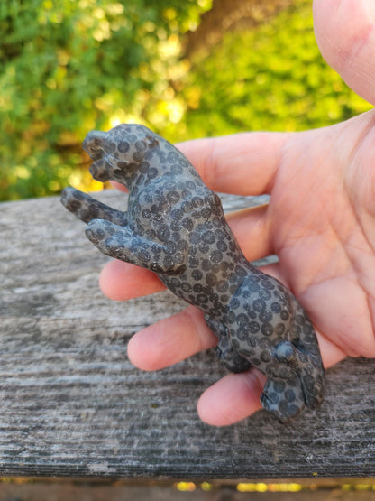 Jaguar Carved Black Spotted Stone Natural Stone Crystal, Big Cat