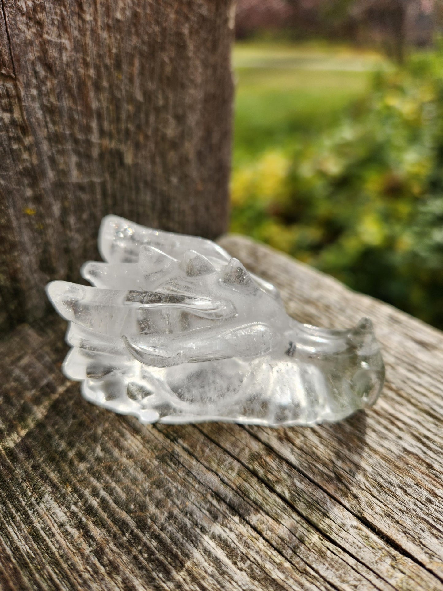 Clear Quartz & Garden Quartz Crystal Carved Dragon Head, DND