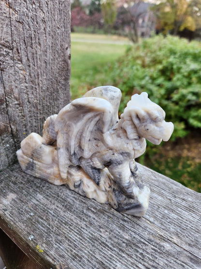Natural Crazy Lace Agate Crystal Carved Full Body Dragon, DND