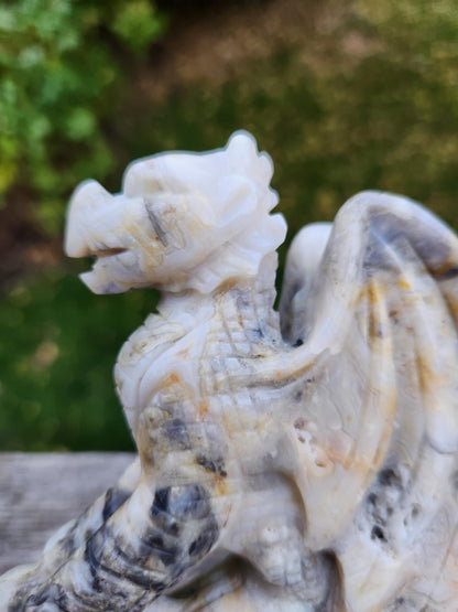 Natural Crazy Lace Agate Crystal Carved Full Body Dragon, DND