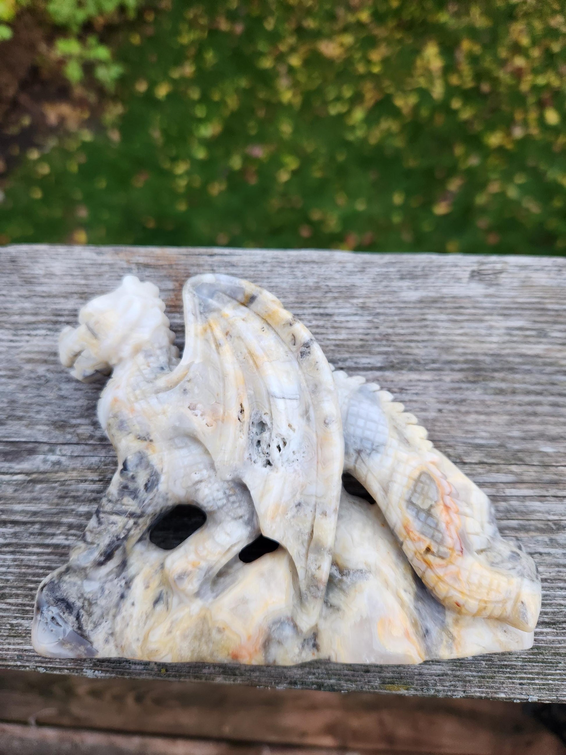 Natural Crazy Lace Agate Crystal Carved Full Body Dragon, DND