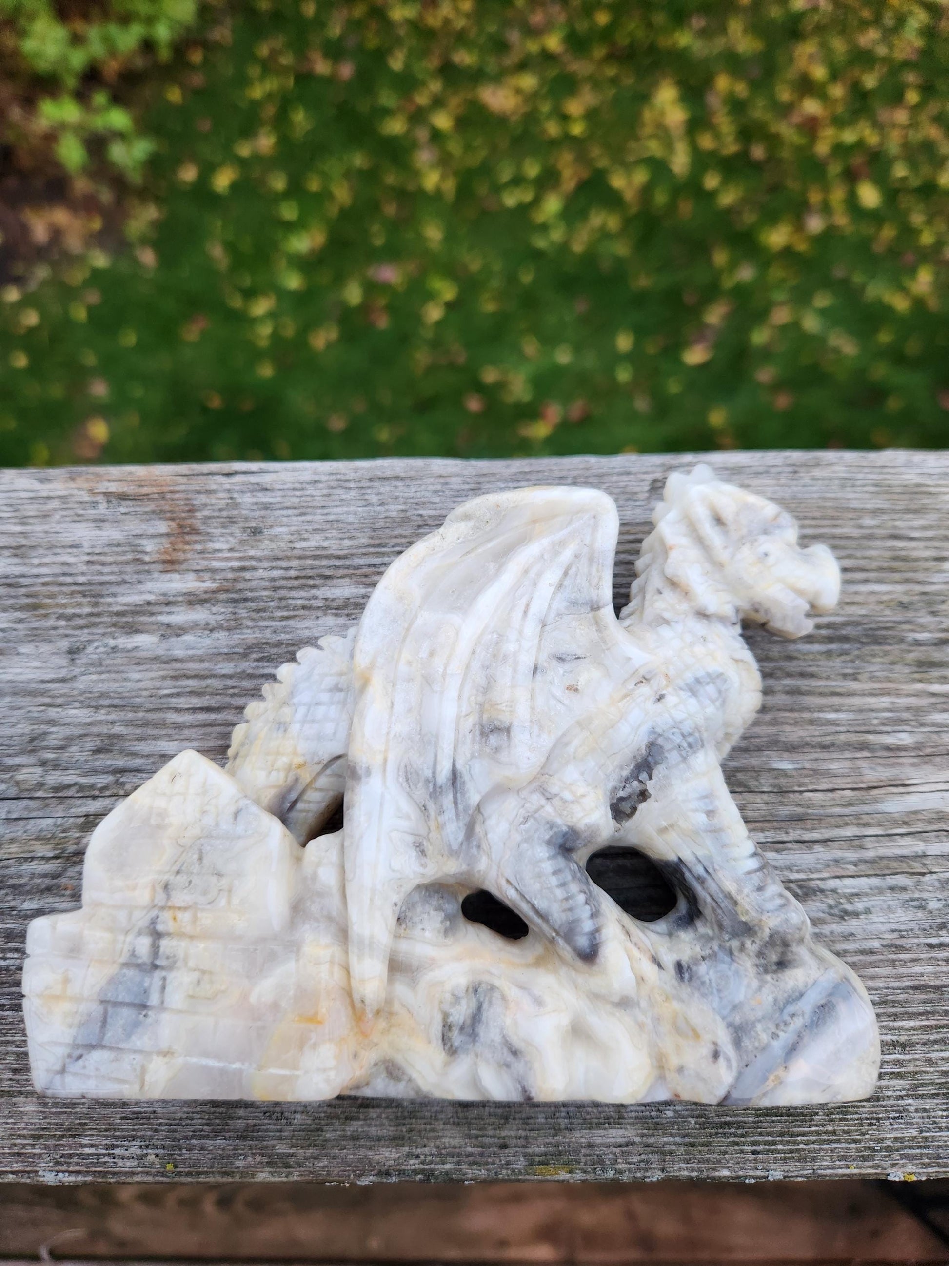 Natural Crazy Lace Agate Crystal Carved Full Body Dragon, DND