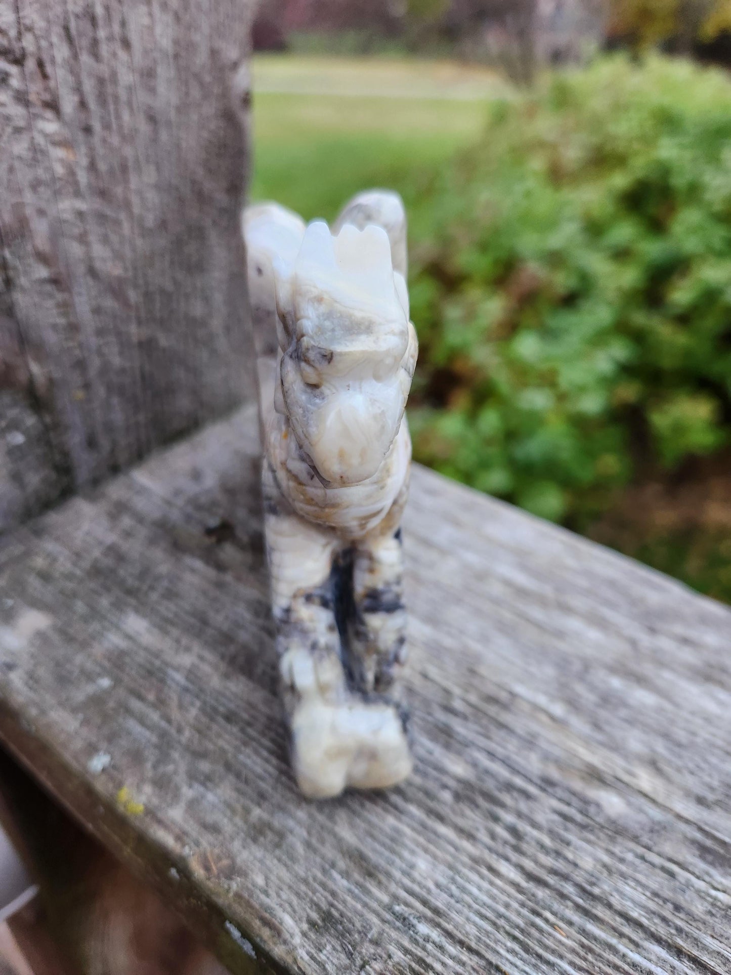 Natural Crazy Lace Agate Crystal Carved Full Body Dragon, DND