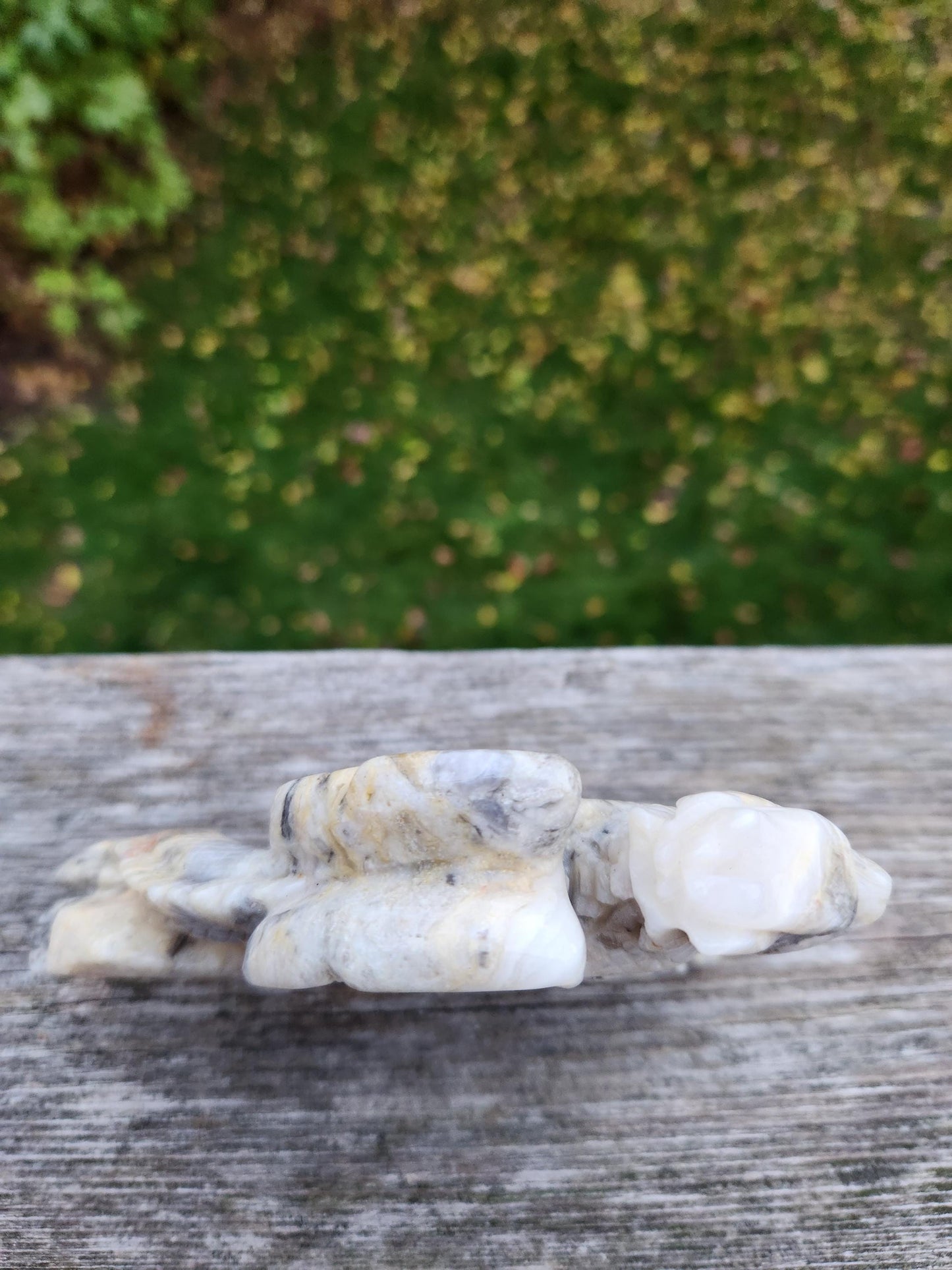 Natural Crazy Lace Agate Crystal Carved Full Body Dragon, DND