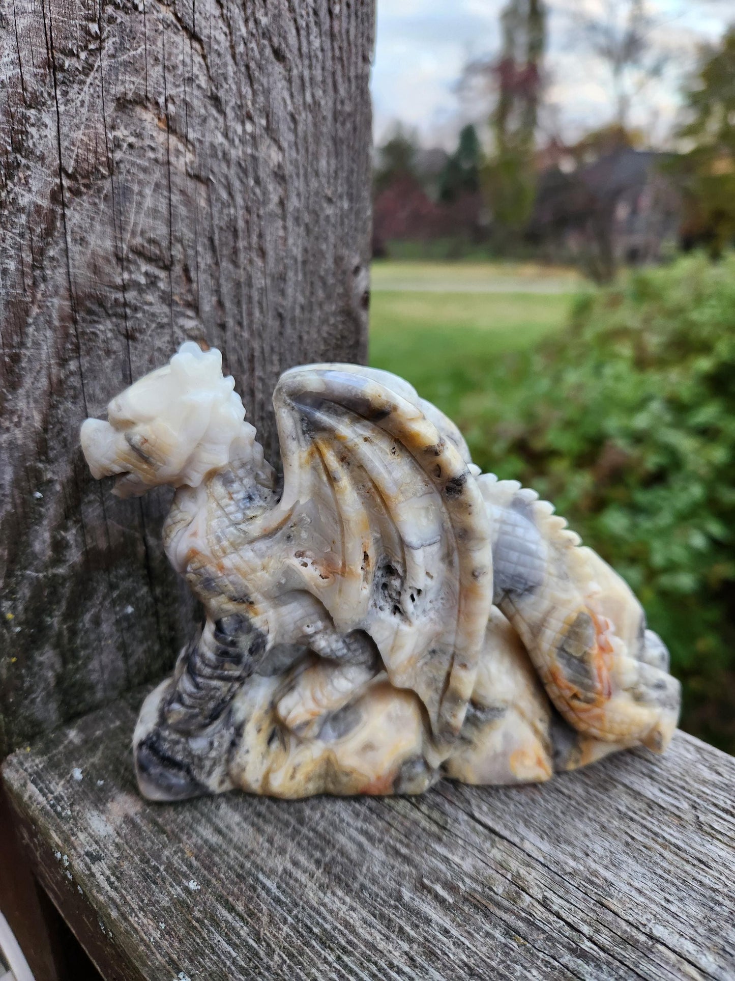 Natural Crazy Lace Agate Crystal Carved Full Body Dragon, DND