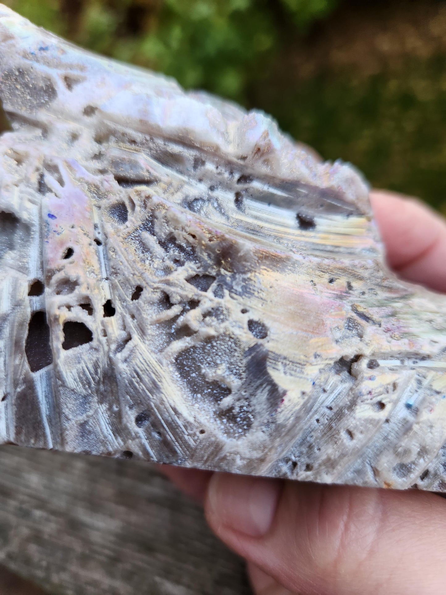 Angel Aura Sphalerite Carved Crystal Dragon Head, DND