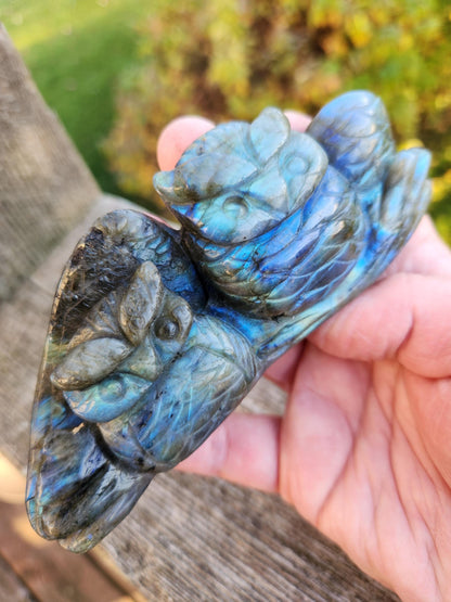 Carved Labradorite Crystal Carving of Two Owls, Flash