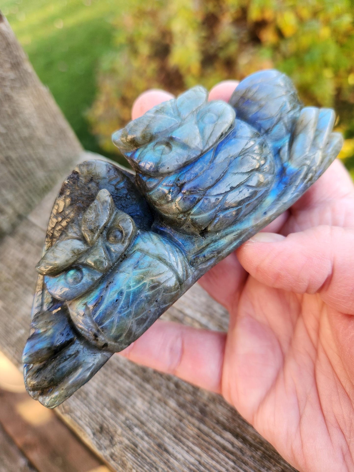 Carved Labradorite Crystal Carving of Two Owls, Flash