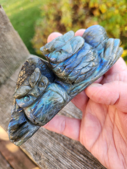 Carved Labradorite Crystal Carving of Two Owls, Flash