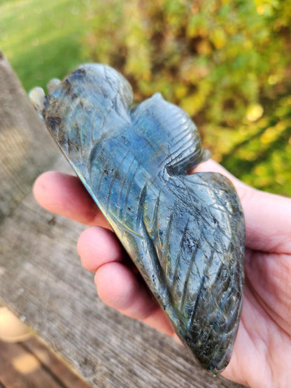 Carved Labradorite Crystal Carving of Two Owls, Flash