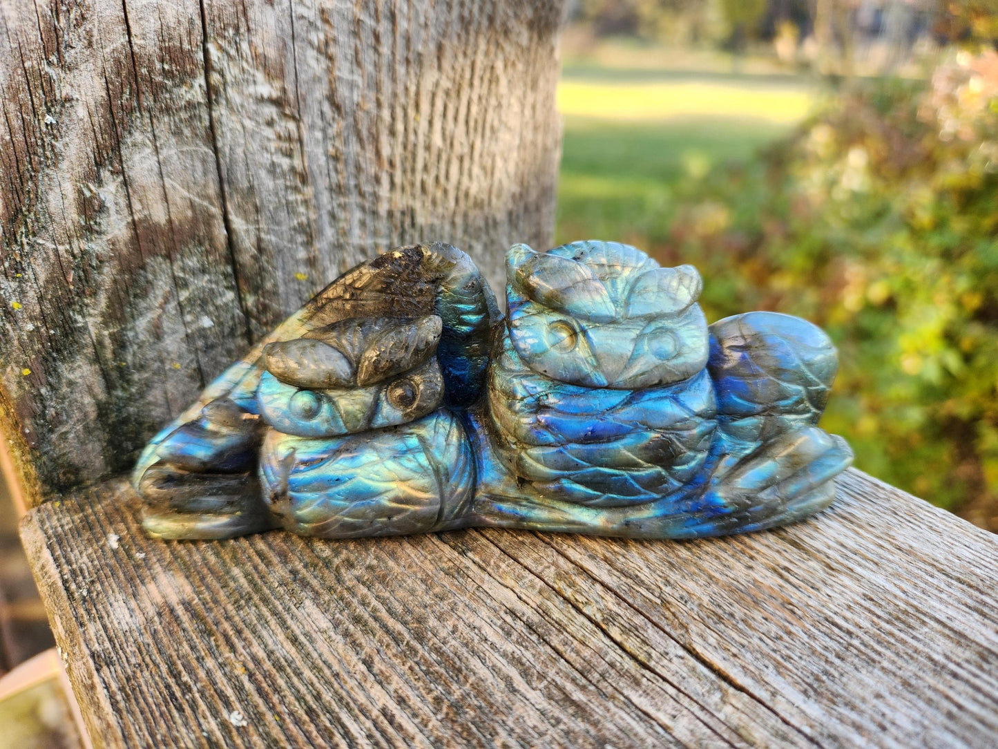 Carved Labradorite Crystal Carving of Two Owls, Flash
