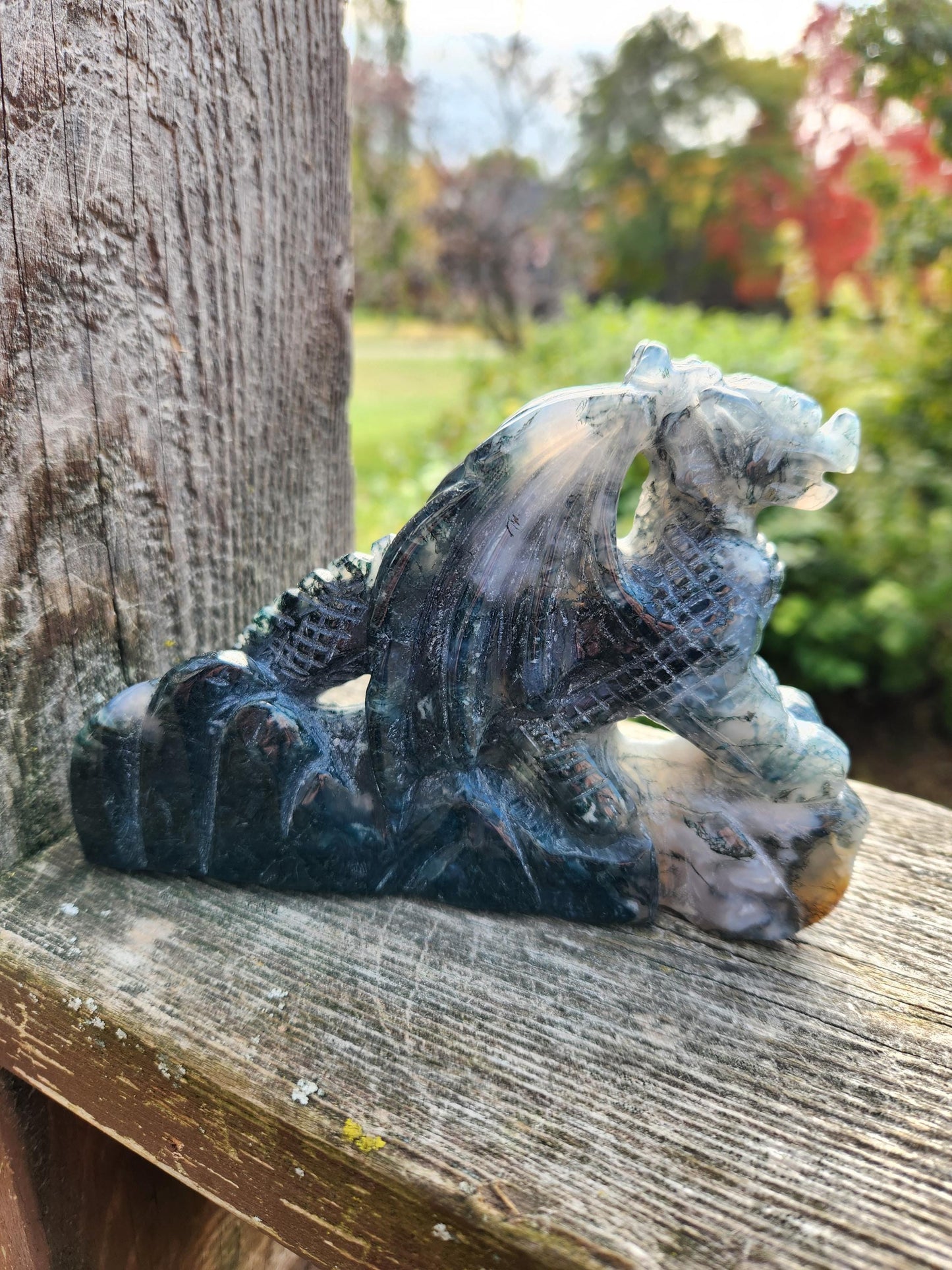 AAA Natural Moss Agate Crystal Carved Full Body Dragon, DND