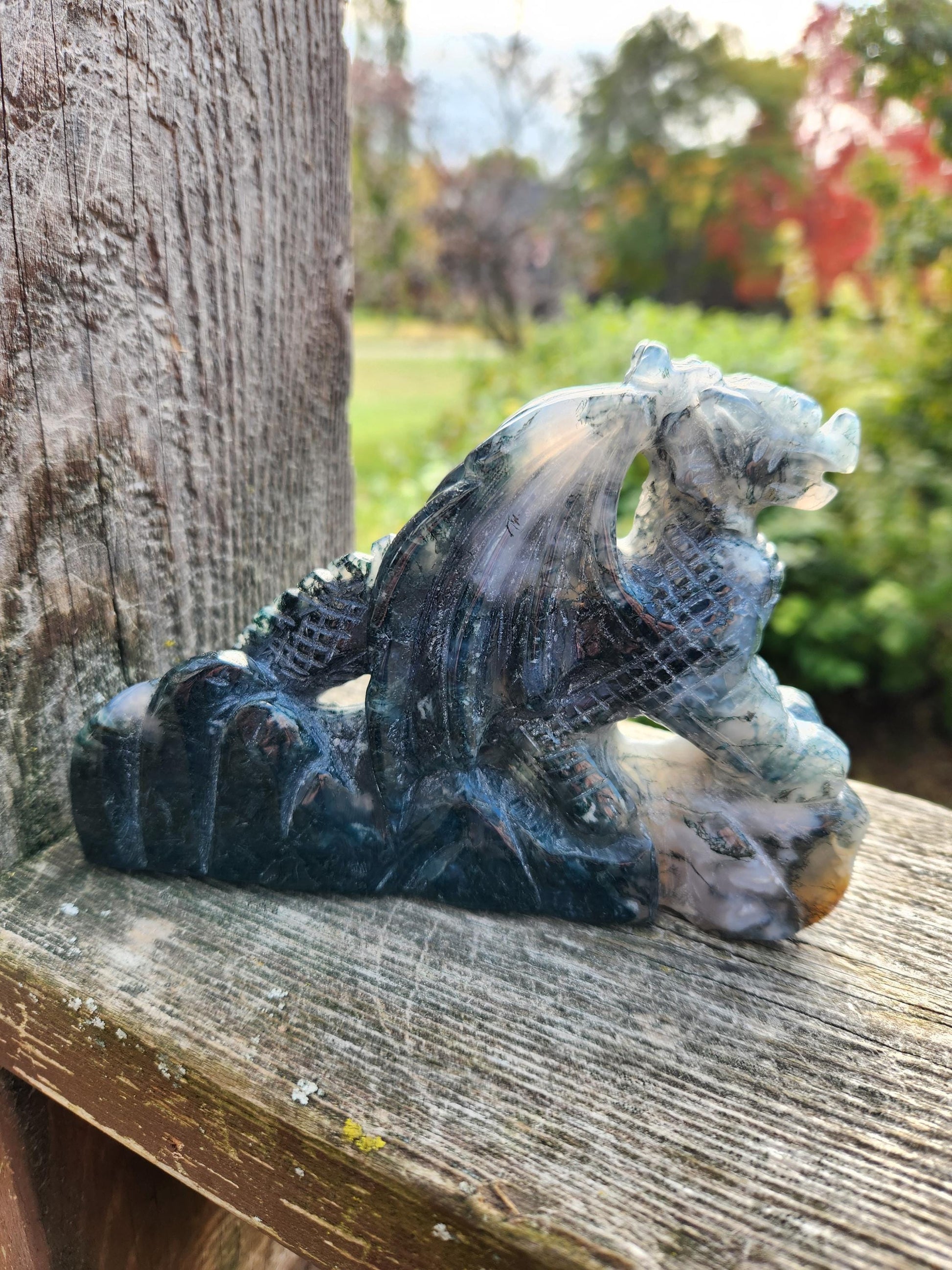 AAA Natural Moss Agate Crystal Carved Full Body Dragon, DND