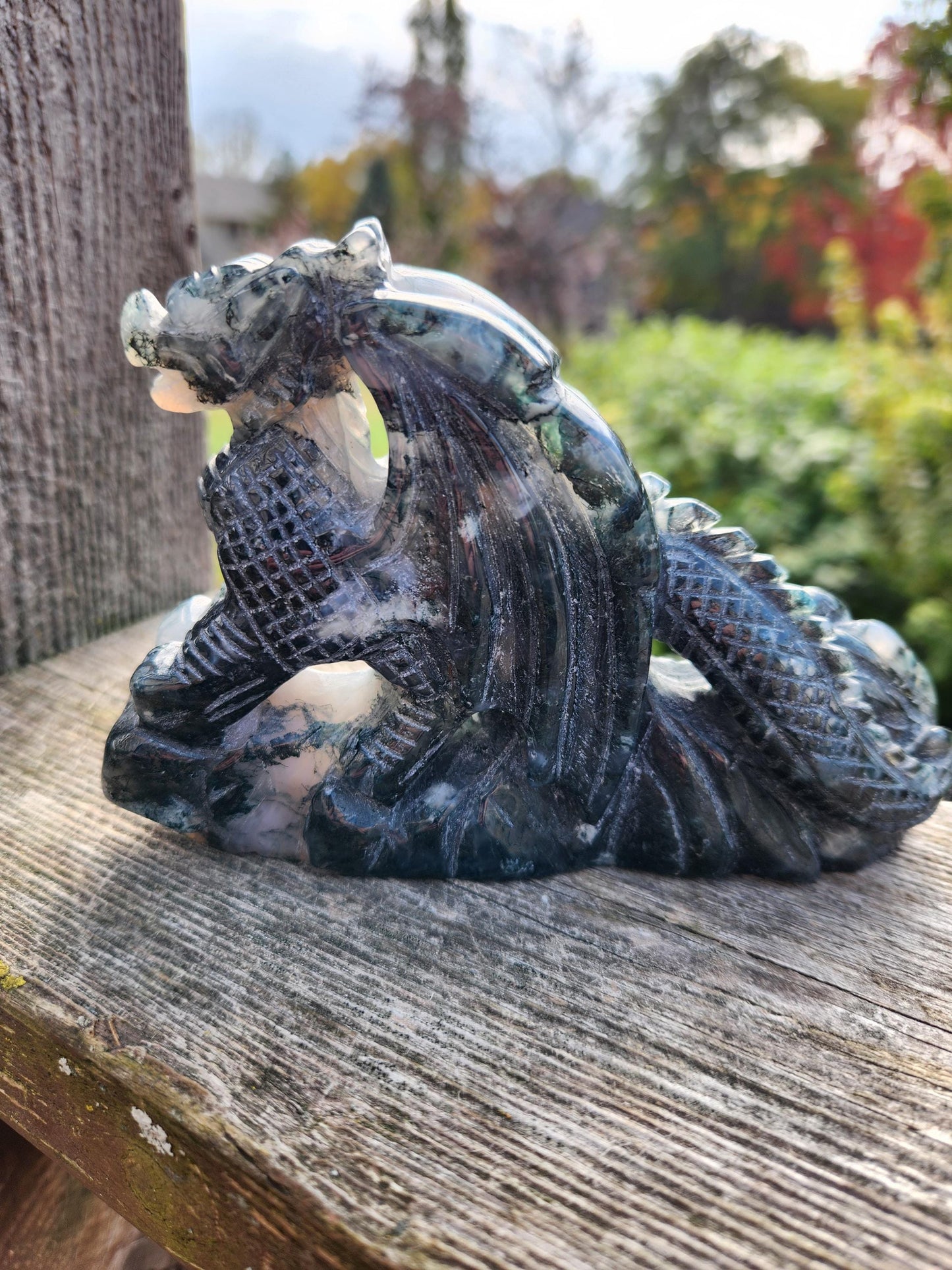 AAA Natural Moss Agate Crystal Carved Full Body Dragon, DND