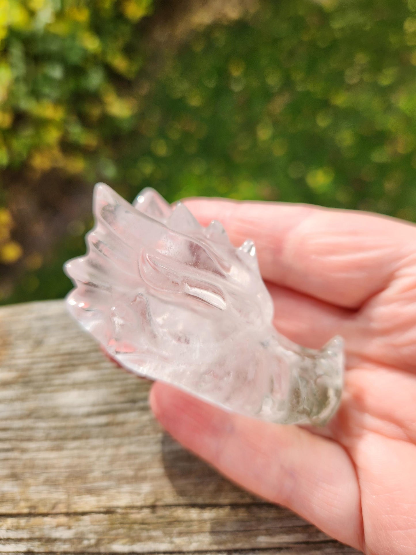 Clear Quartz & Garden Quartz Crystal Carved Dragon Head, DND