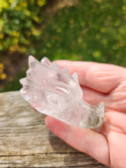Clear Quartz & Garden Quartz Crystal Carved Dragon Head, DND