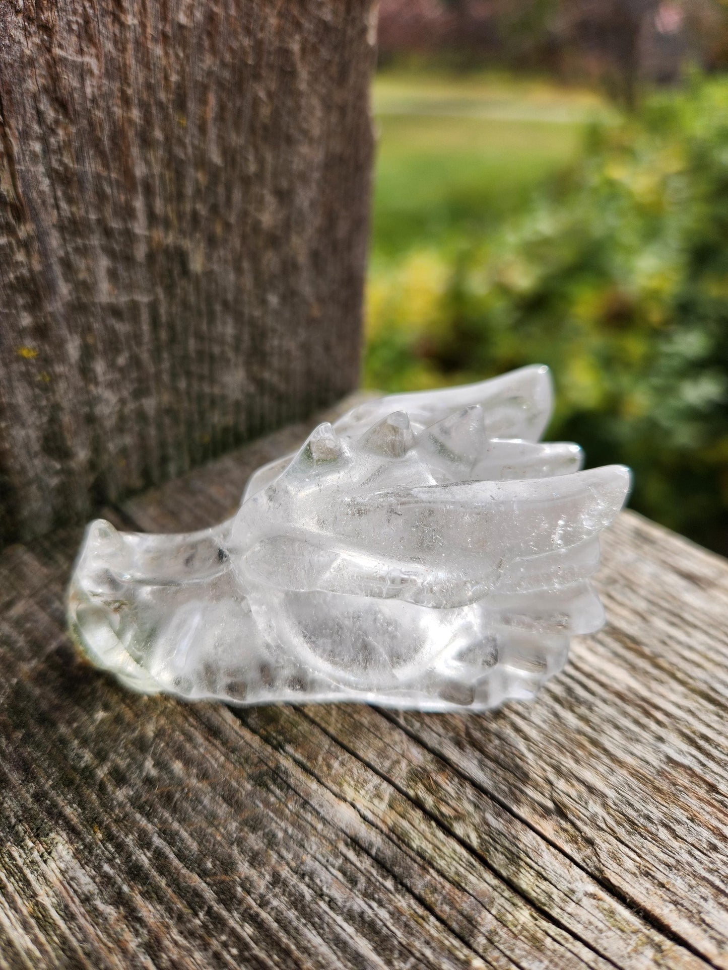 Clear Quartz & Garden Quartz Crystal Carved Dragon Head, DND