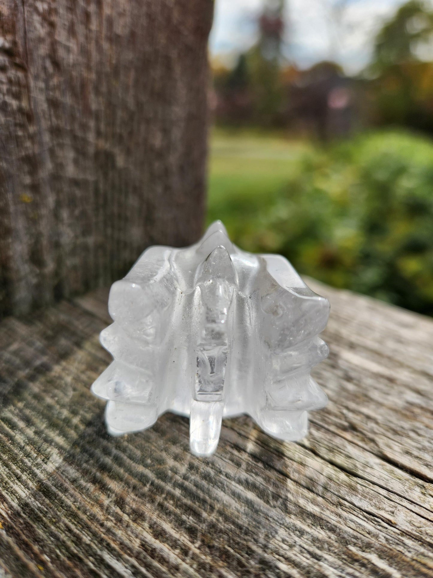 Clear Quartz & Garden Quartz Crystal Carved Dragon Head, DND