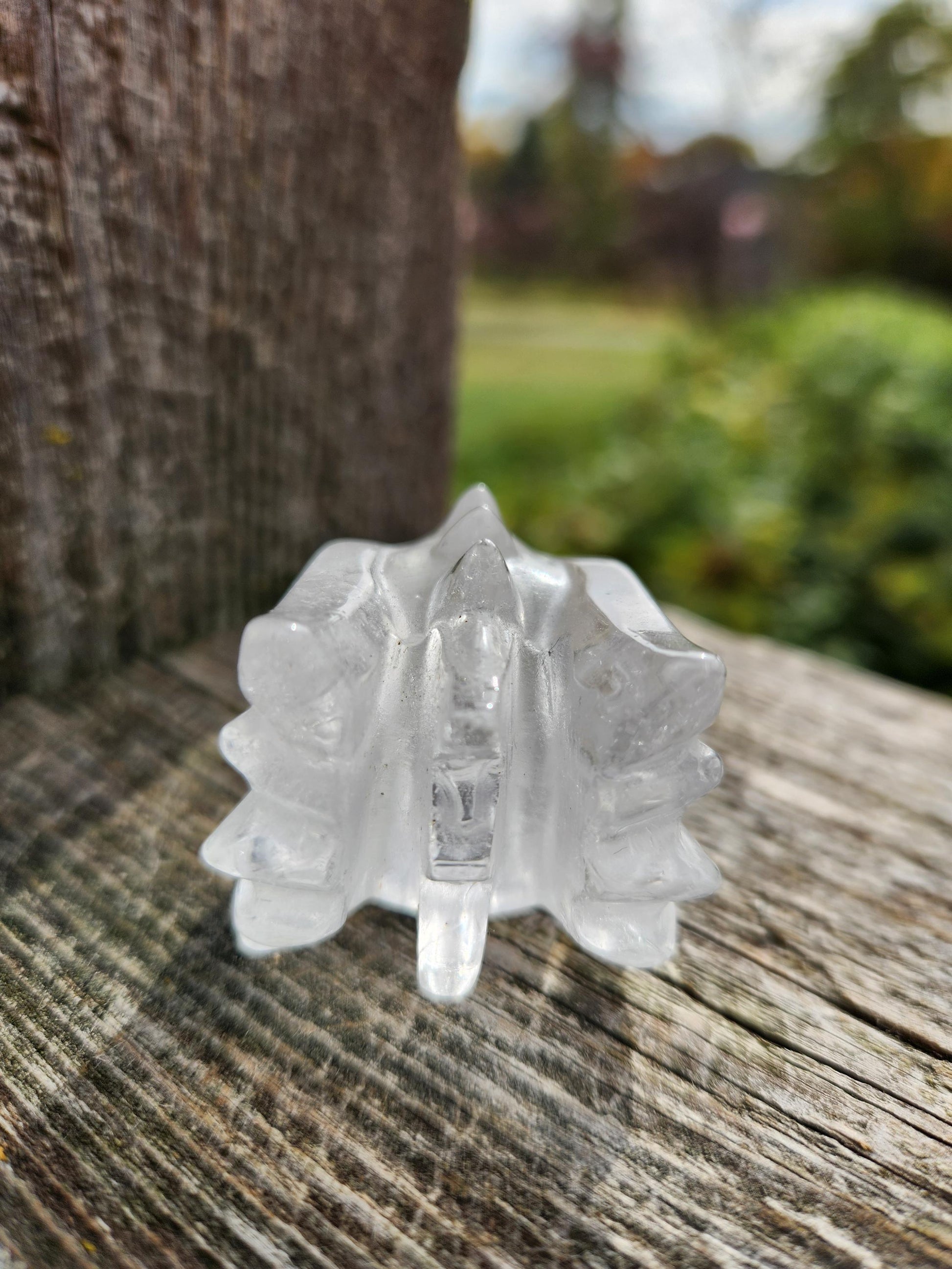 Clear Quartz & Garden Quartz Crystal Carved Dragon Head, DND