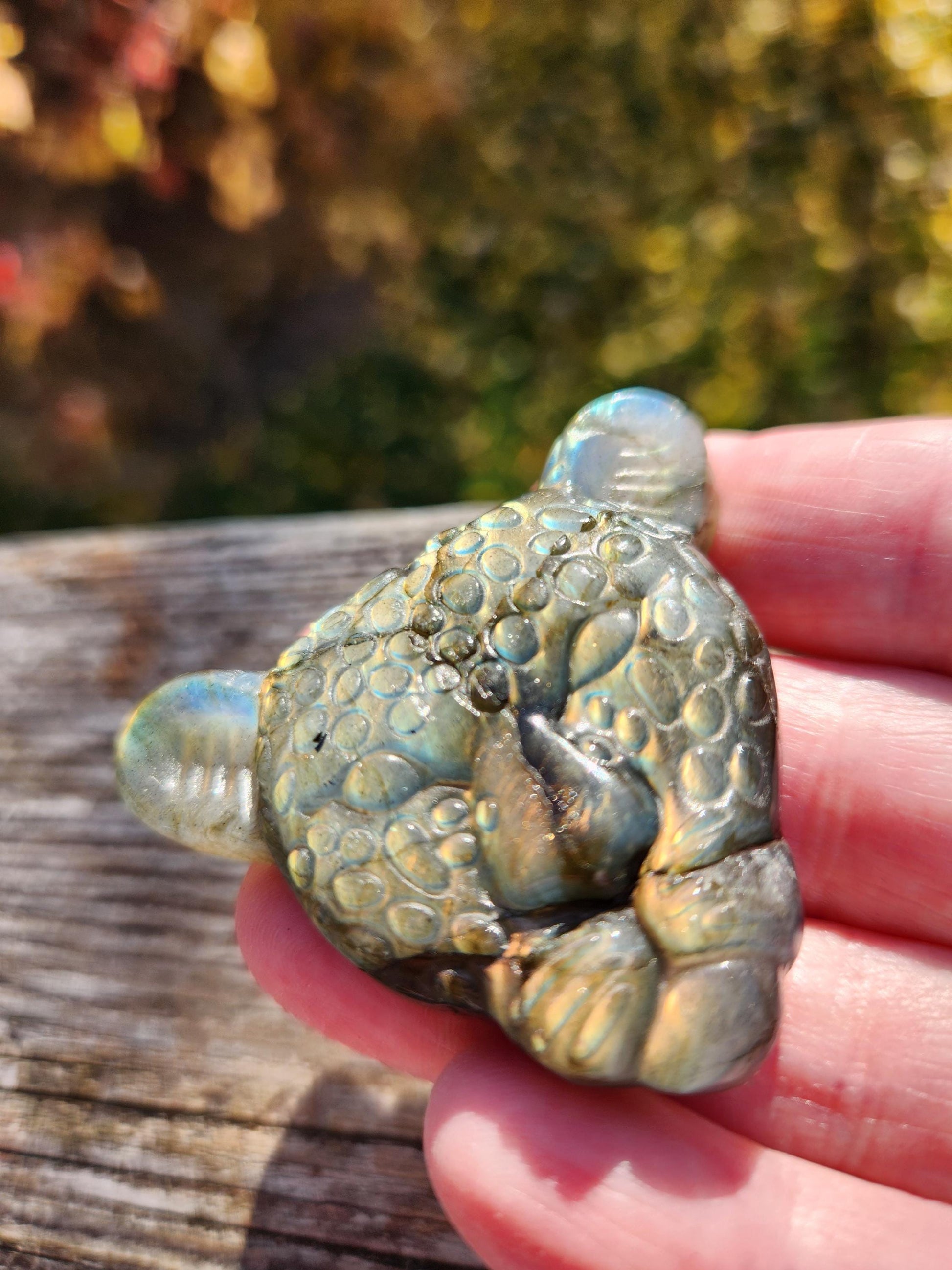 Very Unique Labradorite Leopard Head Carved Crystal with flash, Palm Sized