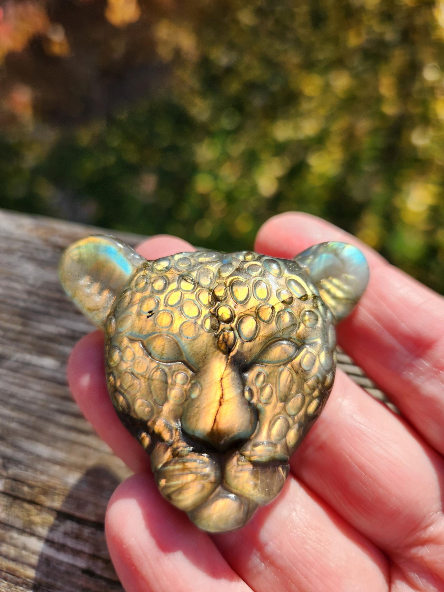 Very Unique Labradorite Leopard Head Carved Crystal with flash, Palm Sized
