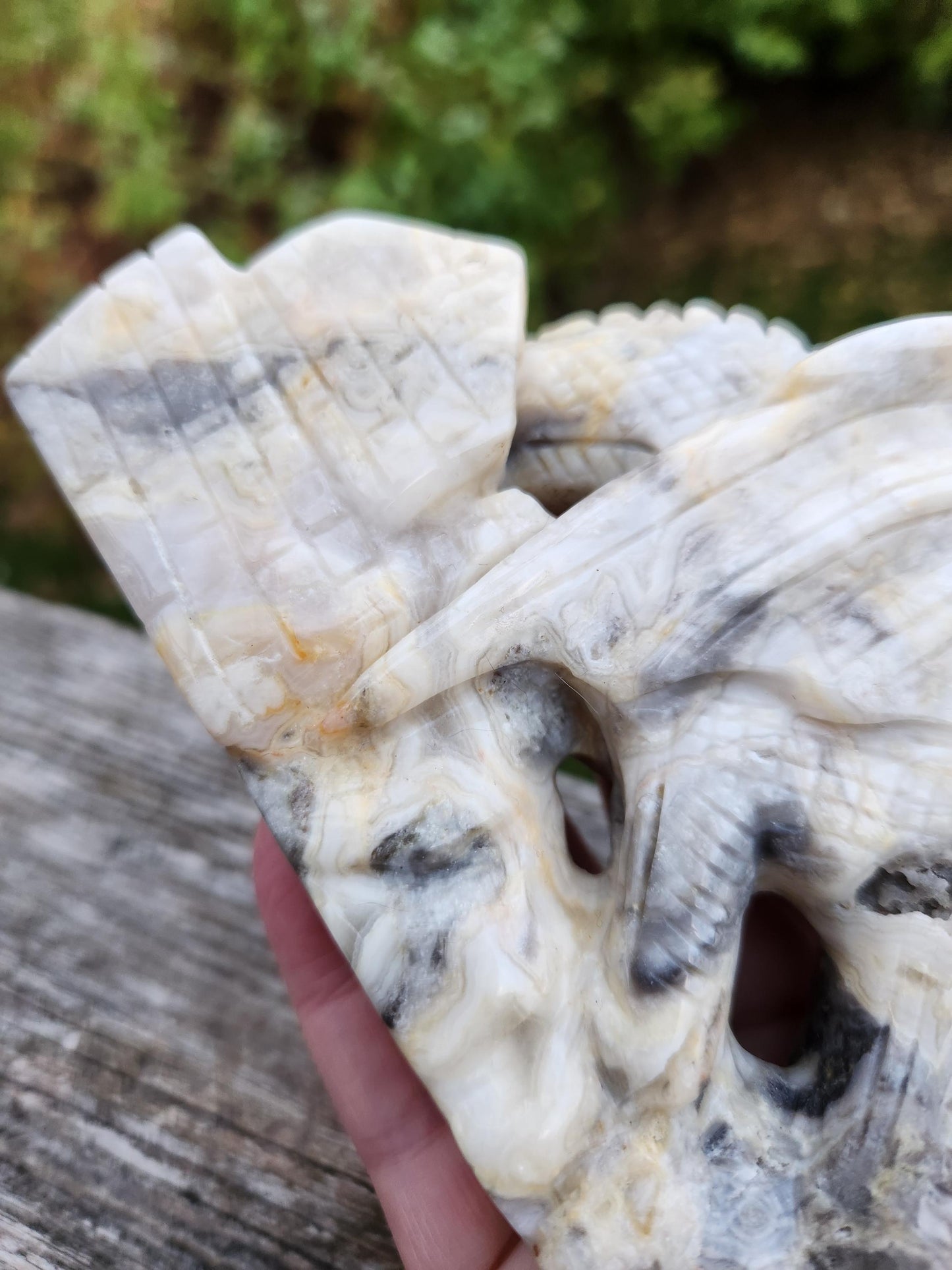 Natural Crazy Lace Agate Crystal Carved Full Body Dragon, DND