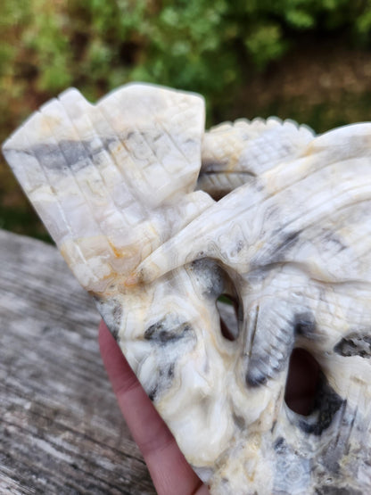 Natural Crazy Lace Agate Crystal Carved Full Body Dragon, DND