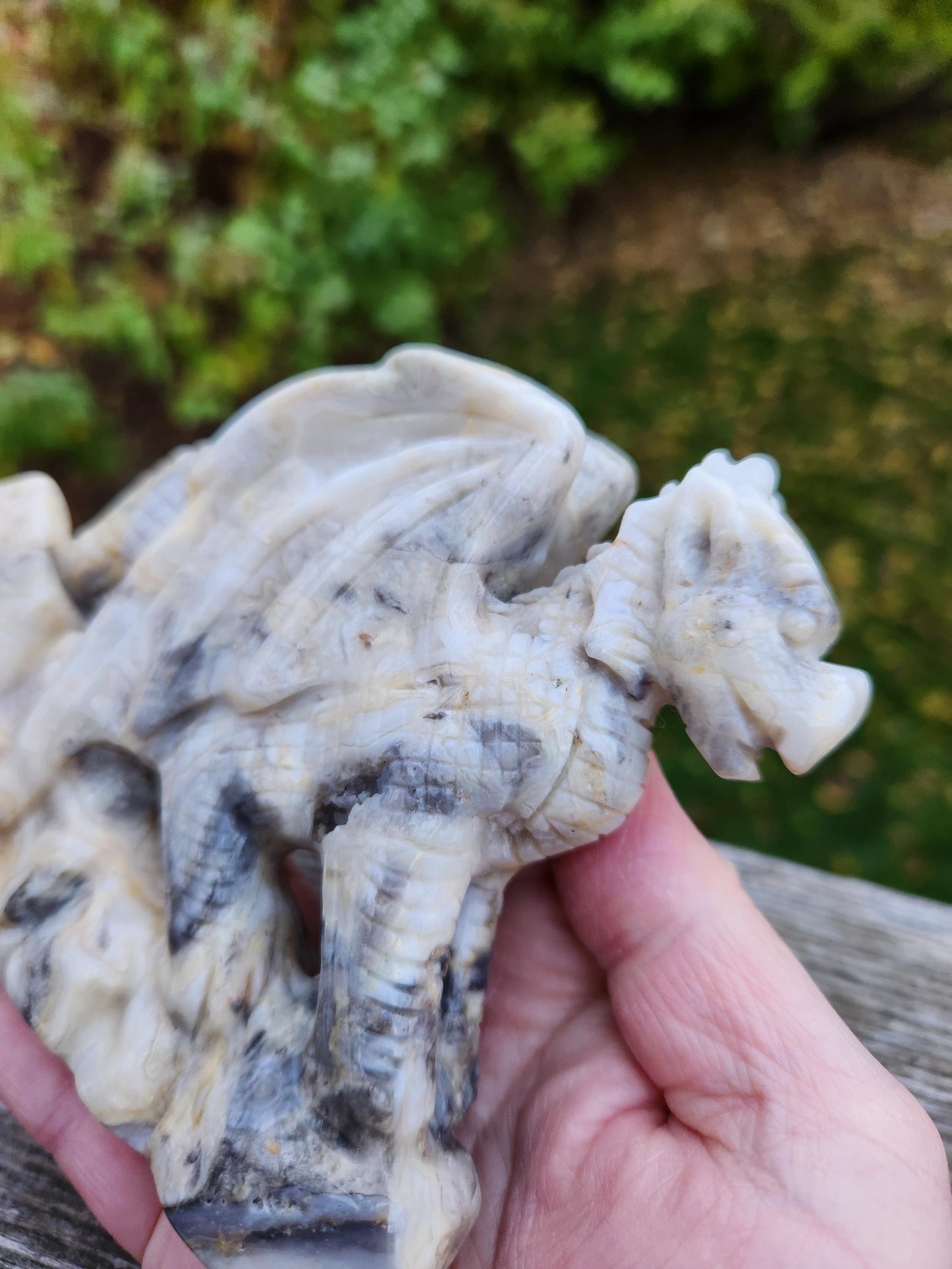Natural Crazy Lace Agate Crystal Carved Full Body Dragon, DND