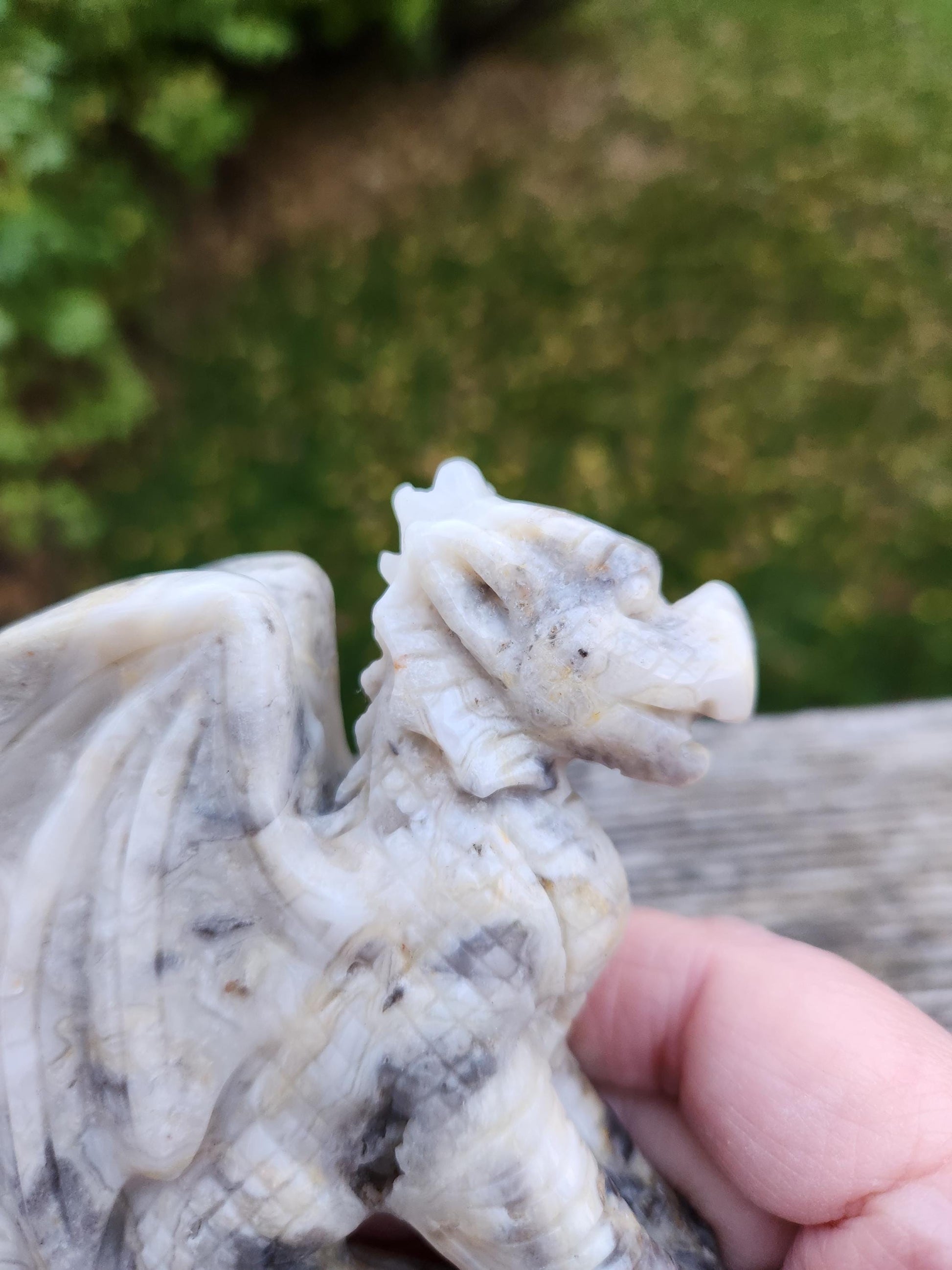 Natural Crazy Lace Agate Crystal Carved Full Body Dragon, DND