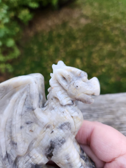 Natural Crazy Lace Agate Crystal Carved Full Body Dragon, DND