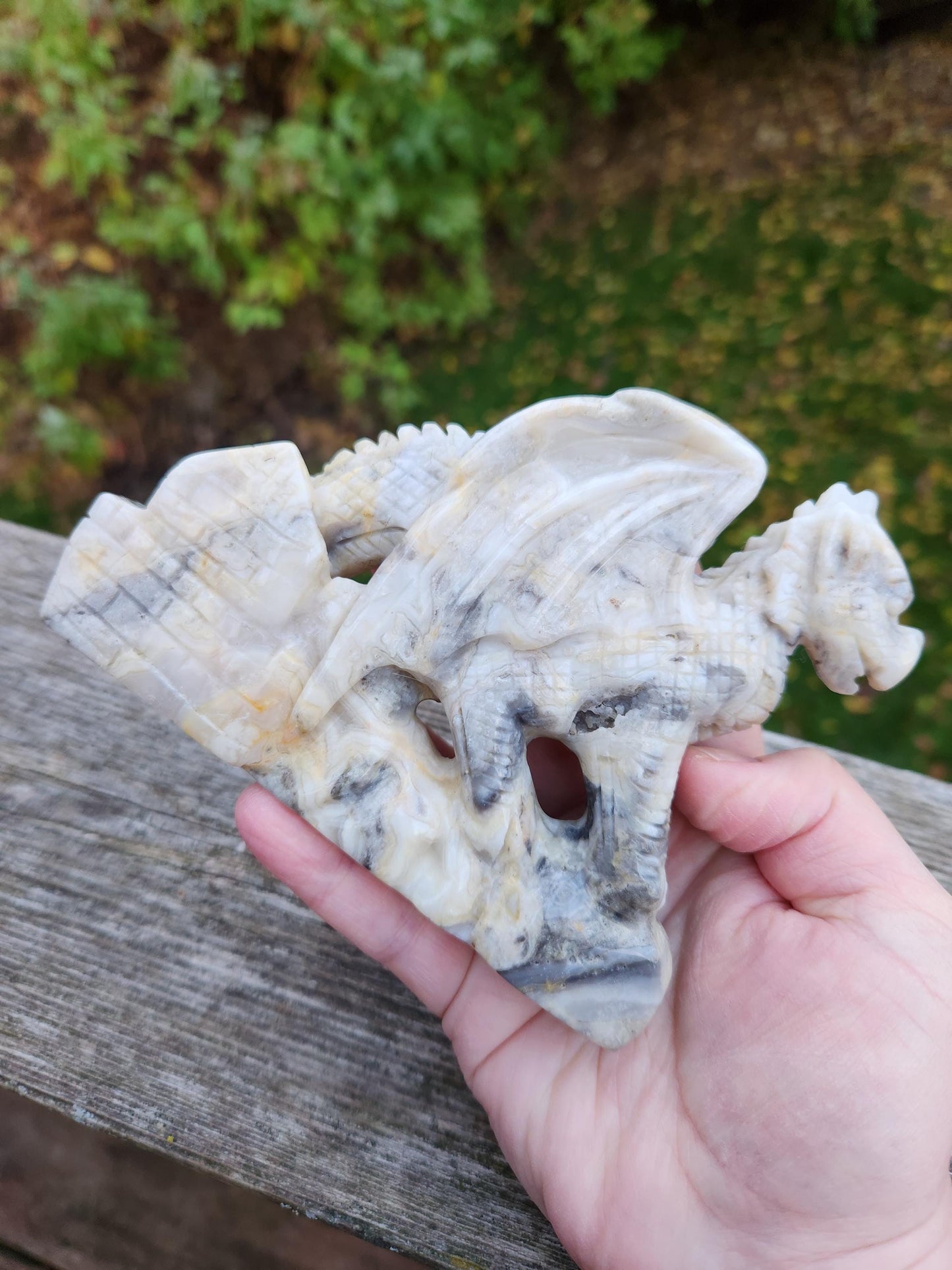 Natural Crazy Lace Agate Crystal Carved Full Body Dragon, DND