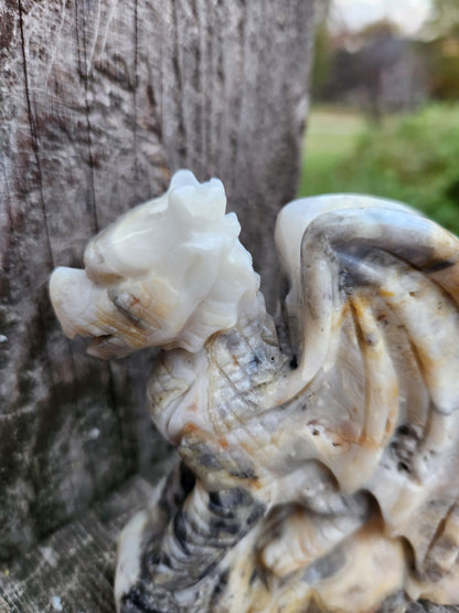 Natural Crazy Lace Agate Crystal Carved Full Body Dragon, DND