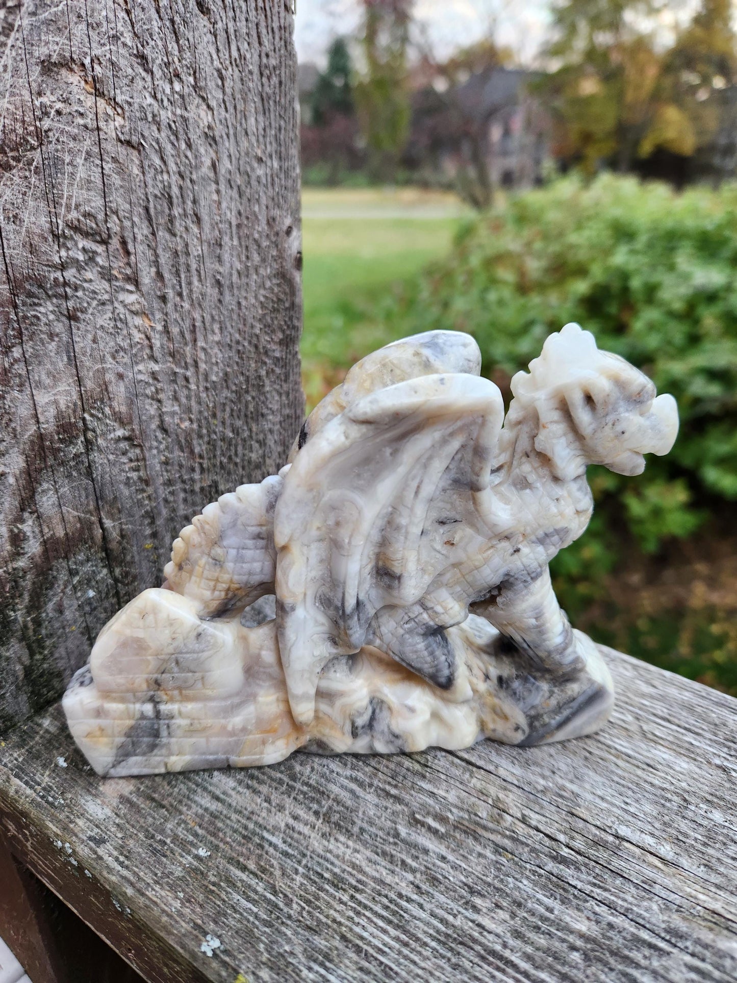 Natural Crazy Lace Agate Crystal Carved Full Body Dragon, DND