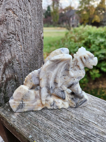 Natural Crazy Lace Agate Crystal Carved Full Body Dragon, DND