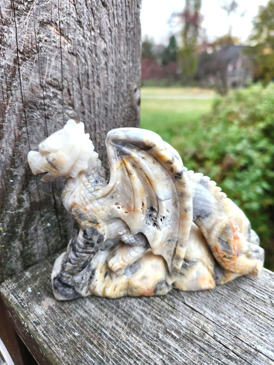 Natural Crazy Lace Agate Crystal Carved Full Body Dragon, DND
