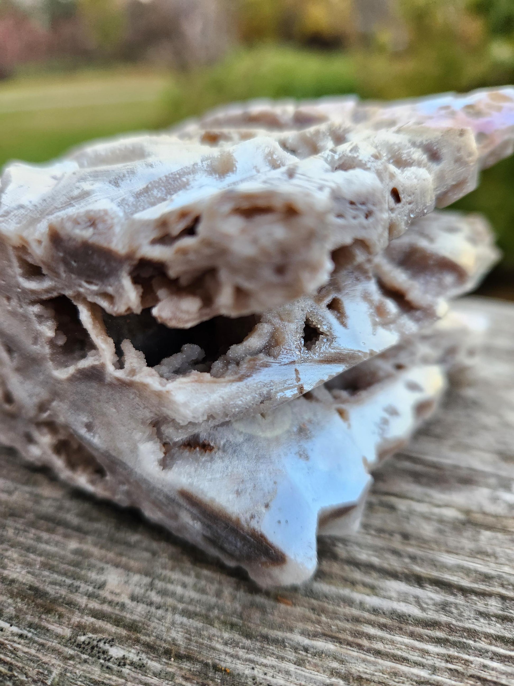 Angel Aura Sphalerite Carved Crystal Dragon Head, DND