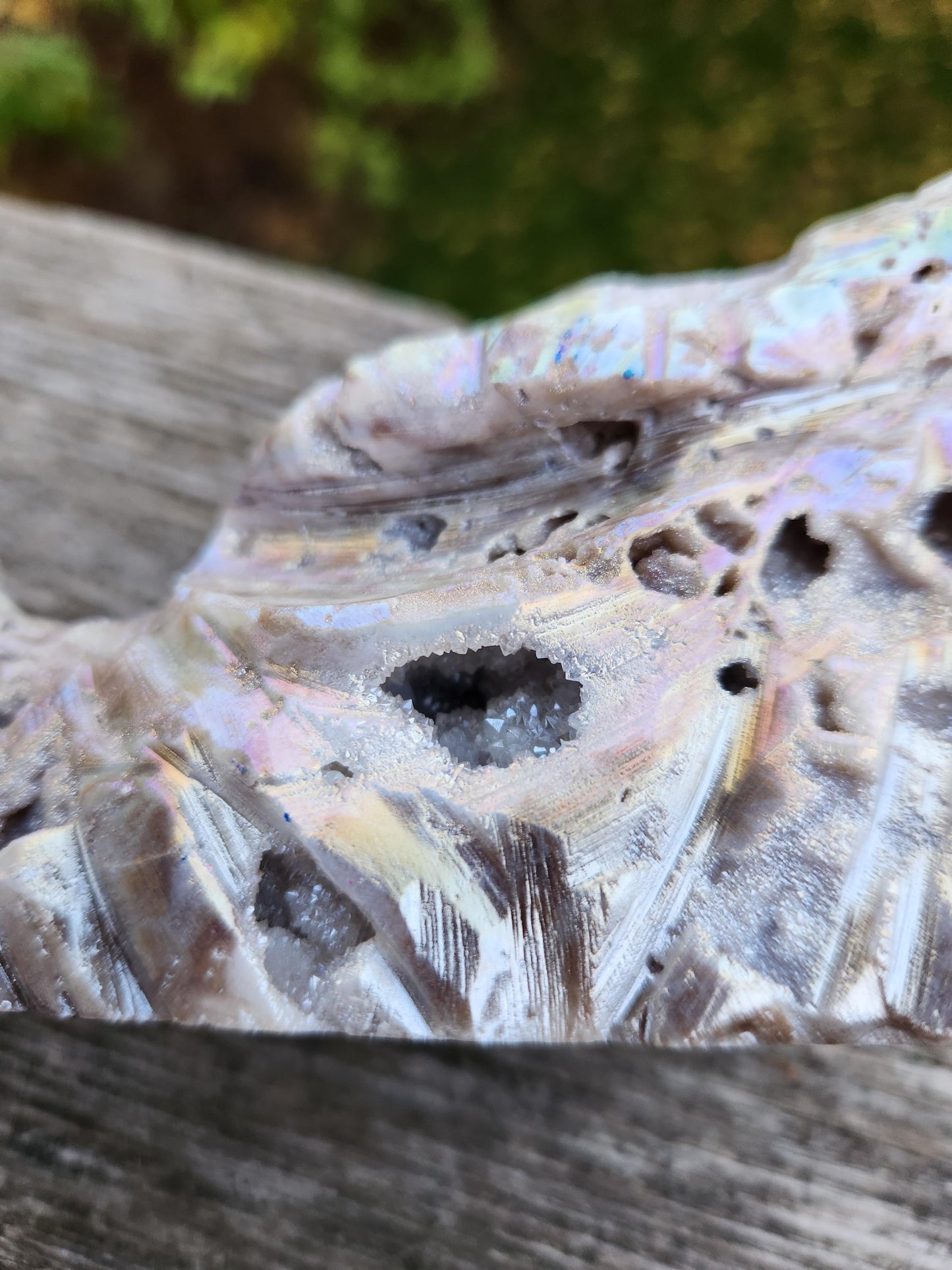 Angel Aura Sphalerite Carved Crystal Dragon Head, DND