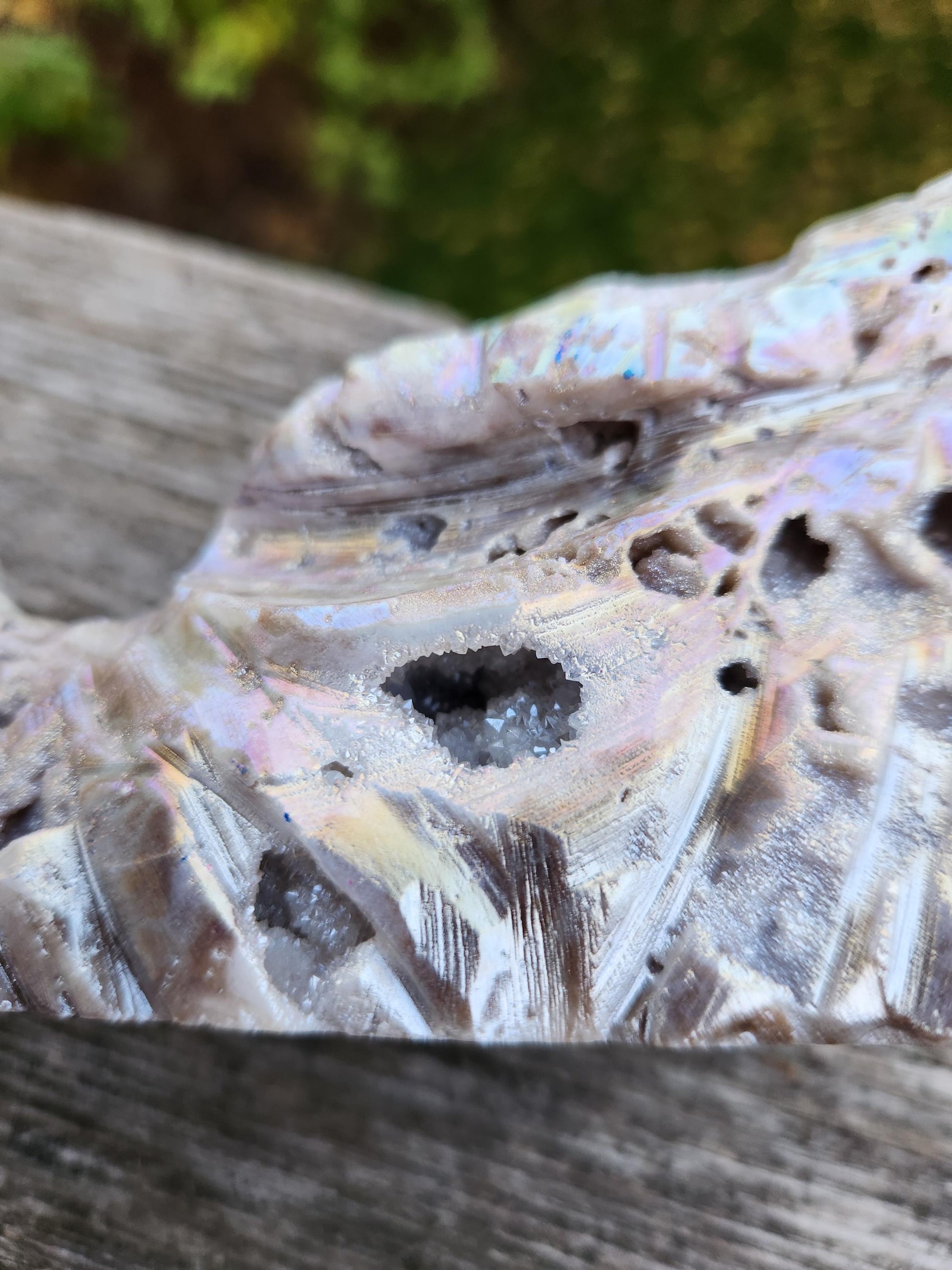 Angel Aura Sphalerite Carved Crystal Dragon Head, DND