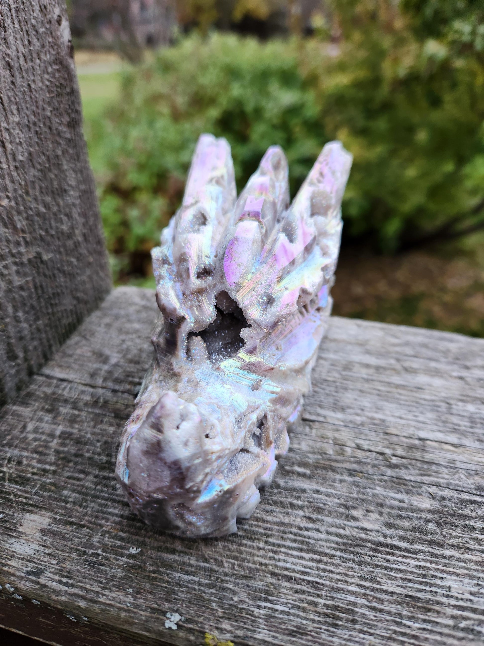 Angel Aura Sphalerite Carved Crystal Dragon Head, DND