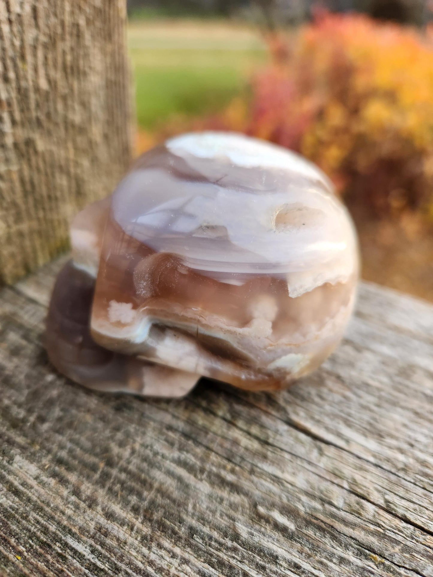 Flower Agate Crystal Skull with Flower Plumes