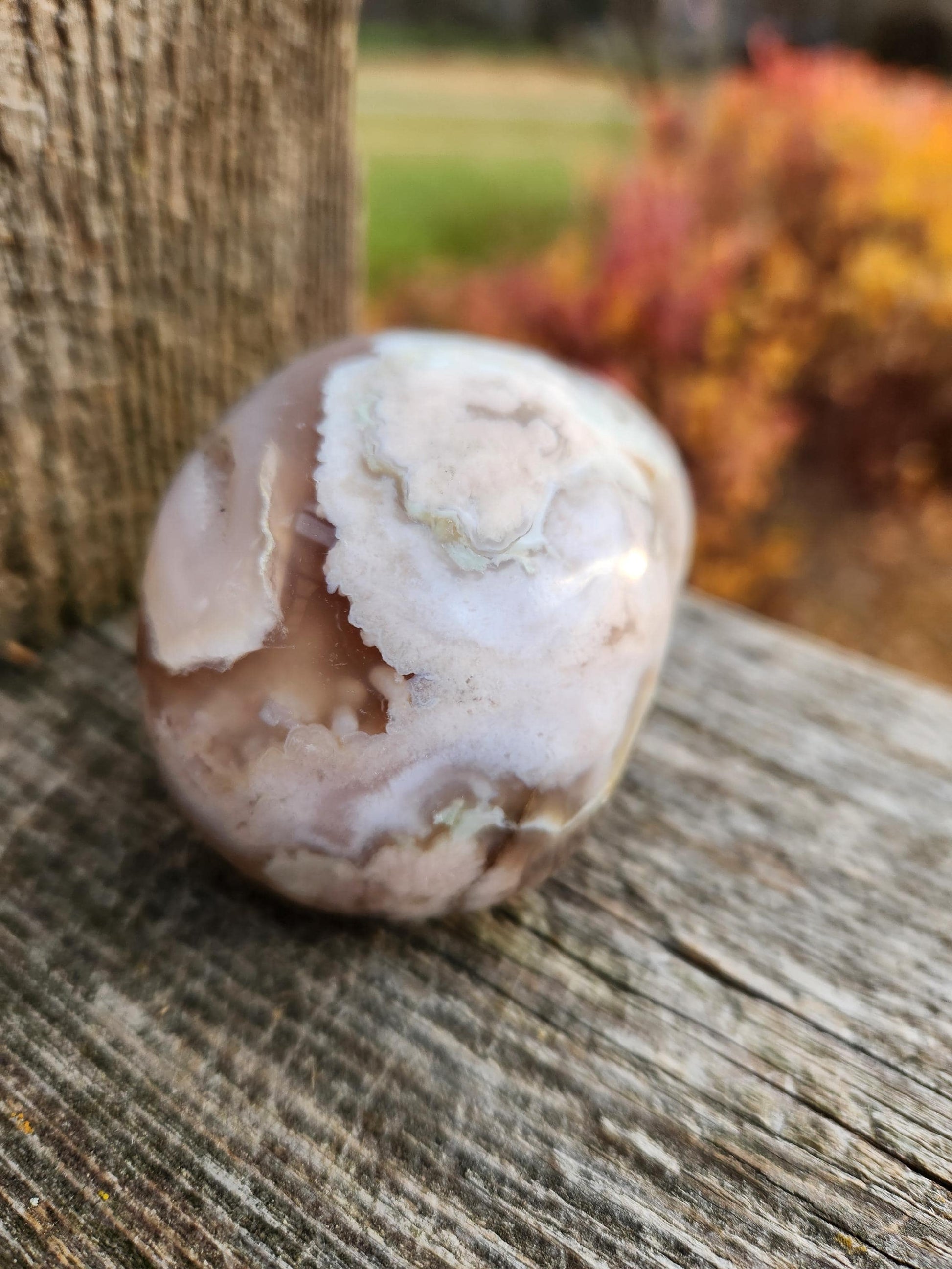 Flower Agate Crystal Skull with Flower Plumes