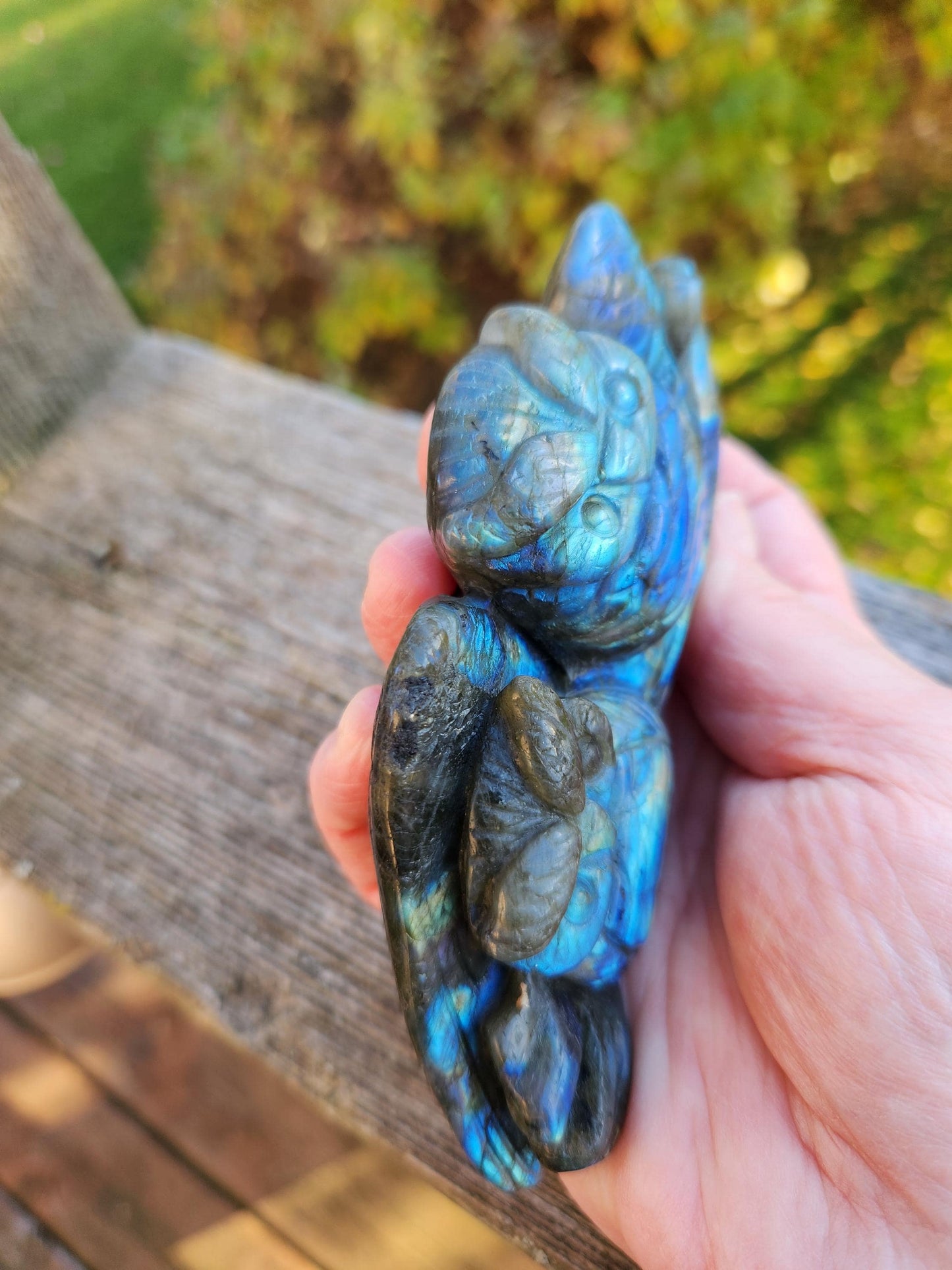 Carved Labradorite Crystal Carving of Two Owls, Flash