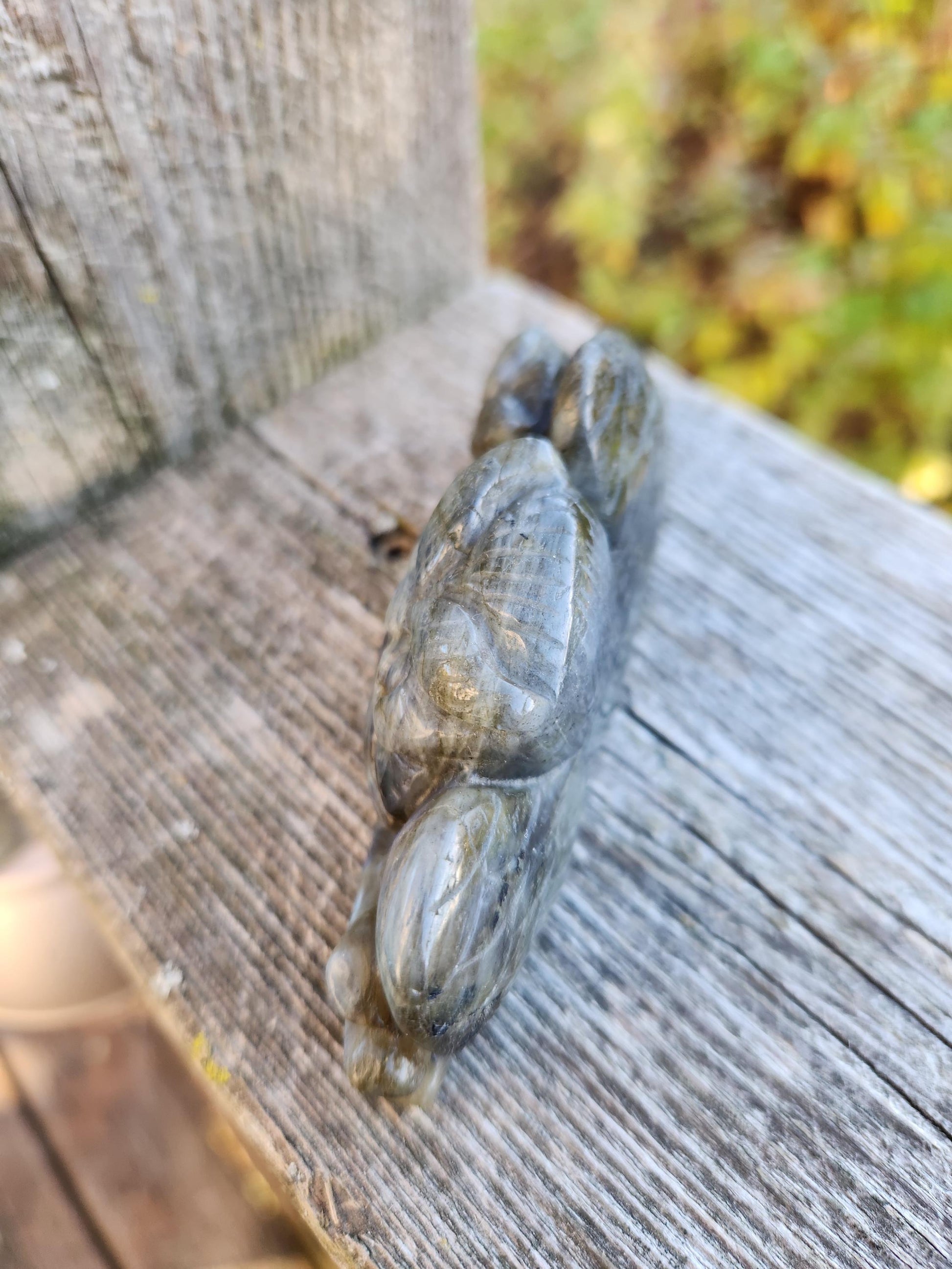 Carved Labradorite Crystal Carving of Two Owls, Flash