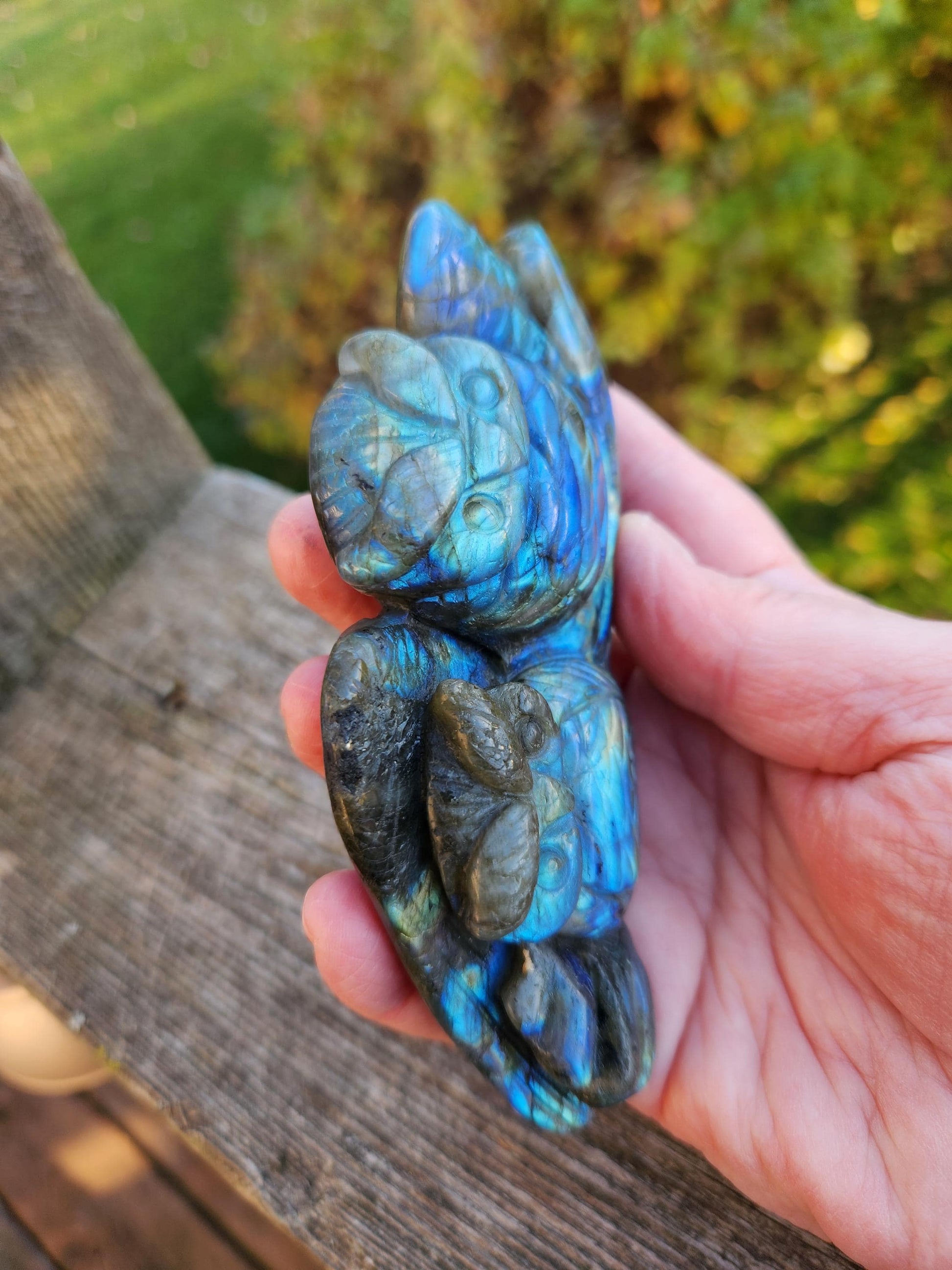 Carved Labradorite Crystal Carving of Two Owls, Flash