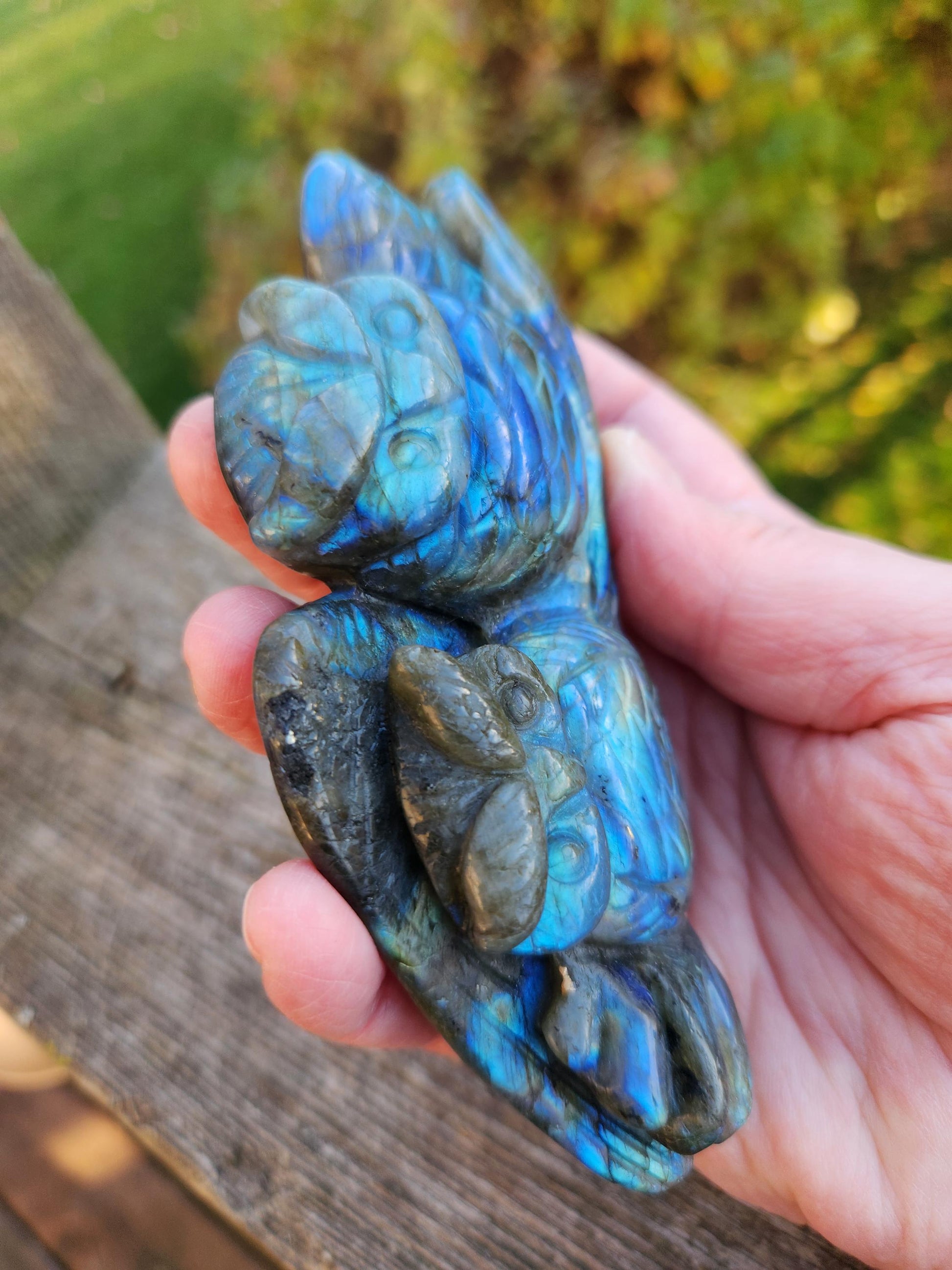 Carved Labradorite Crystal Carving of Two Owls, Flash
